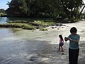 DSC08668.JPG