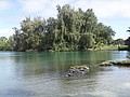 DSC08669.JPG