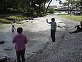 DSC08670.JPG
