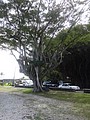 DSC08674.JPG