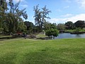 DSC08676.JPG