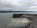 DSC08678.JPG