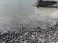 DSC08679.JPG