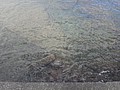 DSC08681.JPG