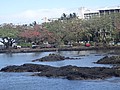 DSC08682.JPG