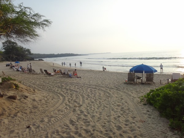 DSC08699.JPG