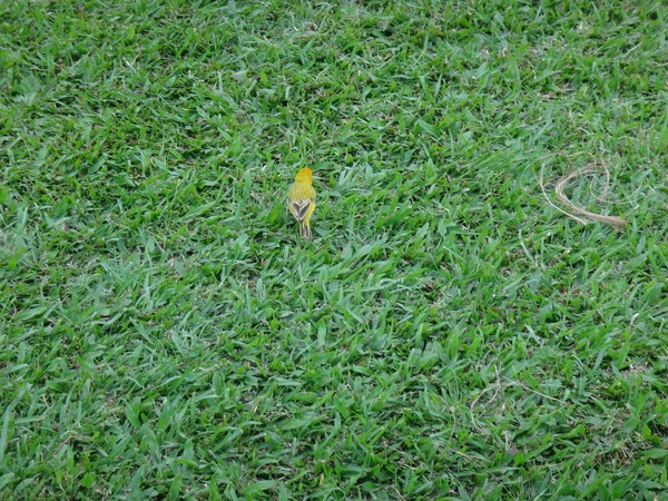 DSC08728.JPG