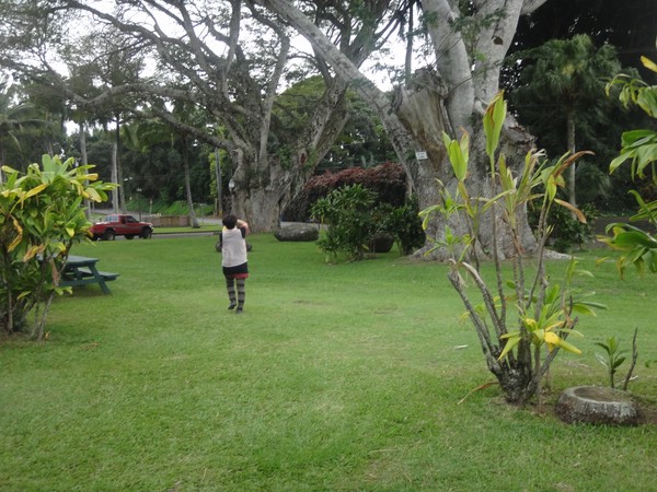 DSC08730.JPG