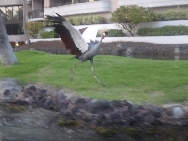 DSC08792.JPG