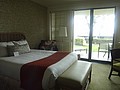 DSC08688.JPG