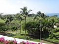 DSC08714.JPG