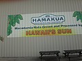 DSC08721.JPG