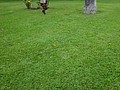 DSC08729.JPG