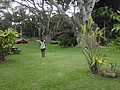 DSC08730.JPG