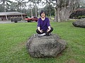 DSC08731.JPG