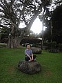 DSC08734.JPG