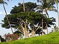 DSC08744.JPG