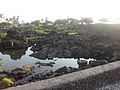 DSC08746.JPG