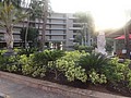 DSC08758.JPG
