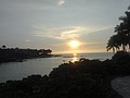 DSC08766.JPG