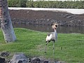 DSC08770.JPG