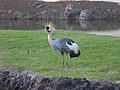 DSC08772.JPG