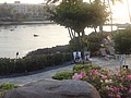 DSC08773.JPG