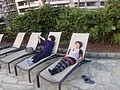 DSC08775.JPG