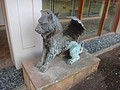 DSC08781.JPG