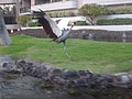 DSC08792.JPG