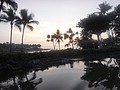 DSC08795.JPG