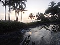 DSC08796.JPG