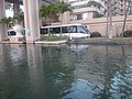 DSC08800.JPG