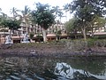 DSC08802.JPG