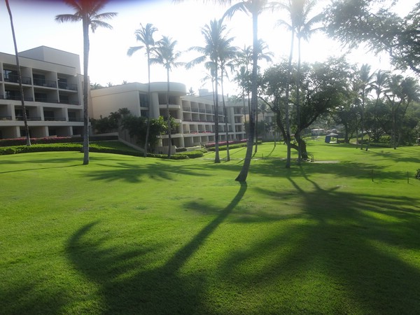 DSC08822.JPG
