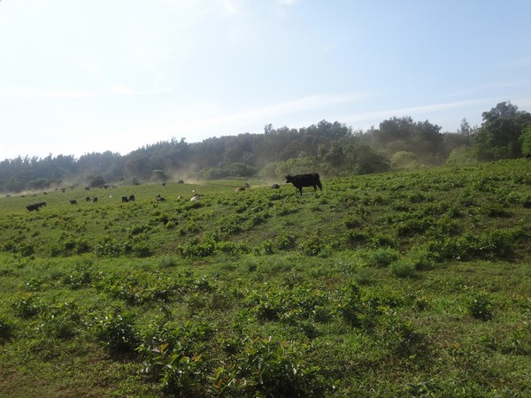 DSC08842.JPG