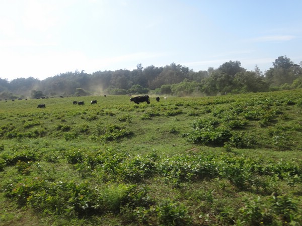 DSC08843.JPG