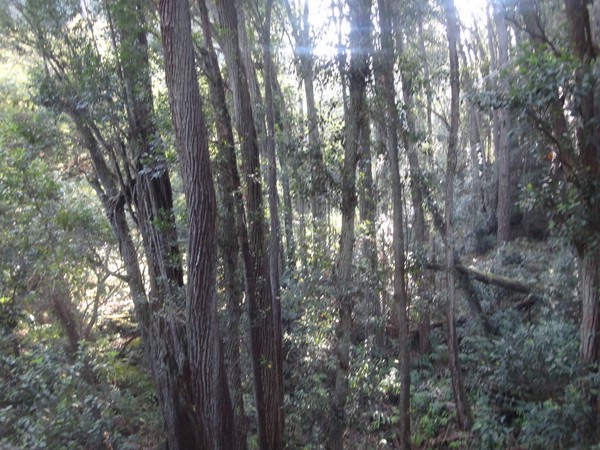 DSC08860.JPG