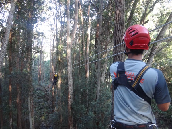 DSC08871.JPG