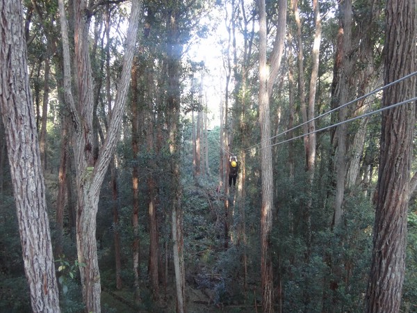 DSC08873.JPG