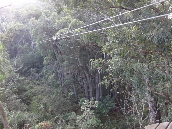 DSC08900.JPG