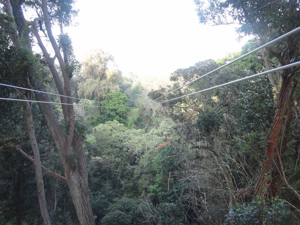 DSC08904.JPG