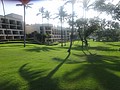 DSC08822.JPG