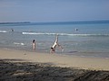 DSC08826.JPG