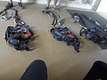 DSC08832.JPG