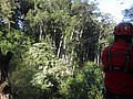 DSC08850.JPG