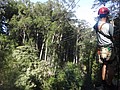 DSC08851.JPG