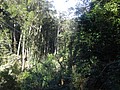 DSC08854.JPG