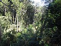 DSC08857.JPG