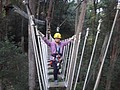 DSC08858.JPG